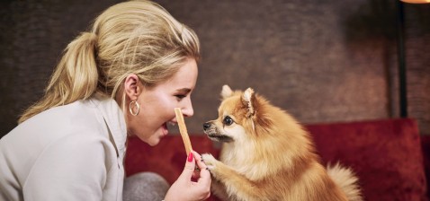 When and how often should I feed my pet?