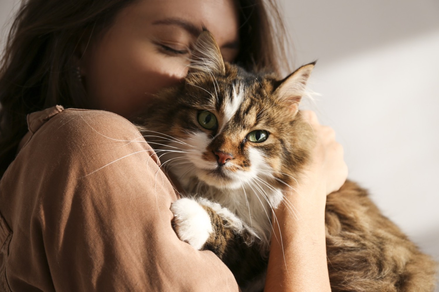 10 things your pet loves